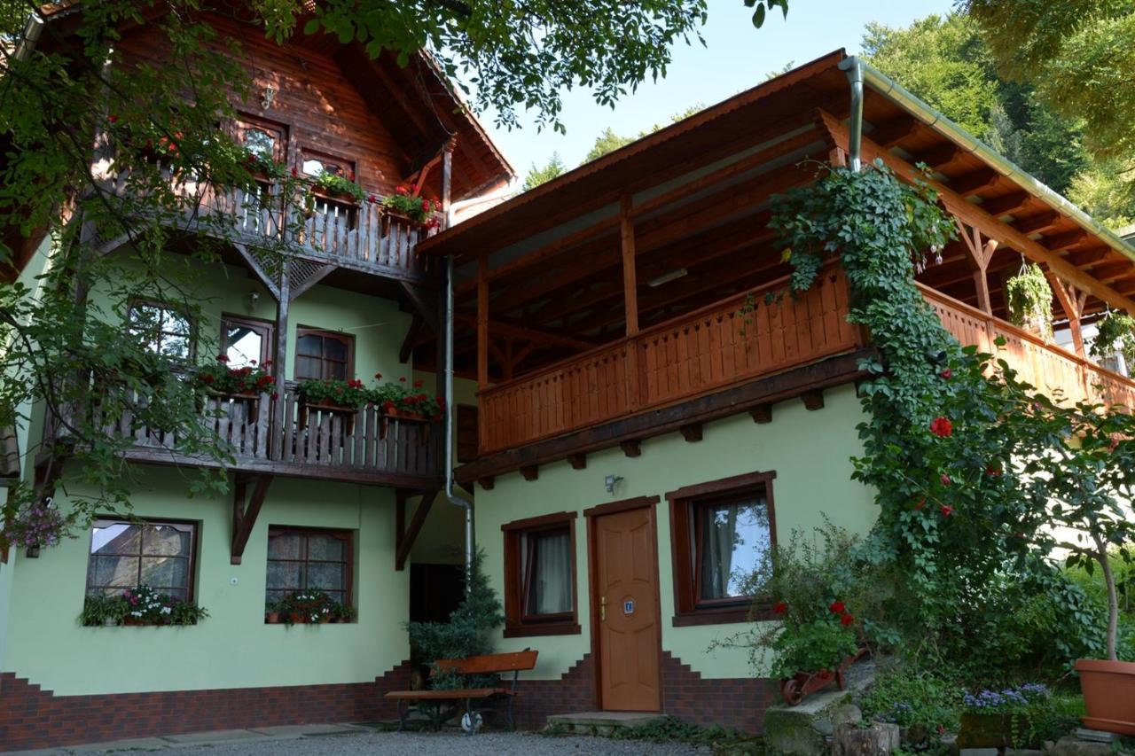 Vila Anna Sovata Exteriör bild