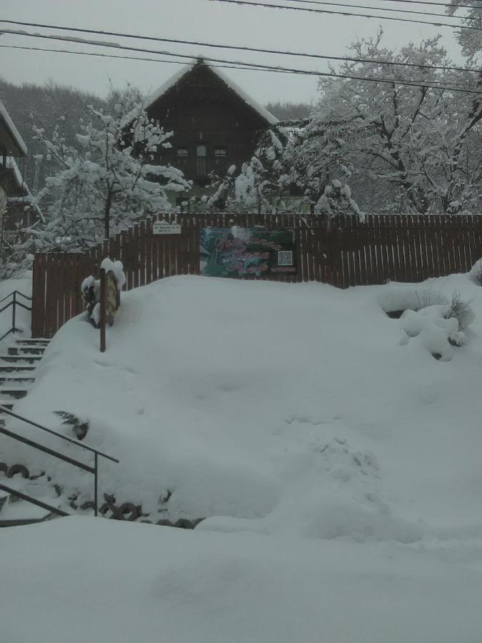 Vila Anna Sovata Exteriör bild